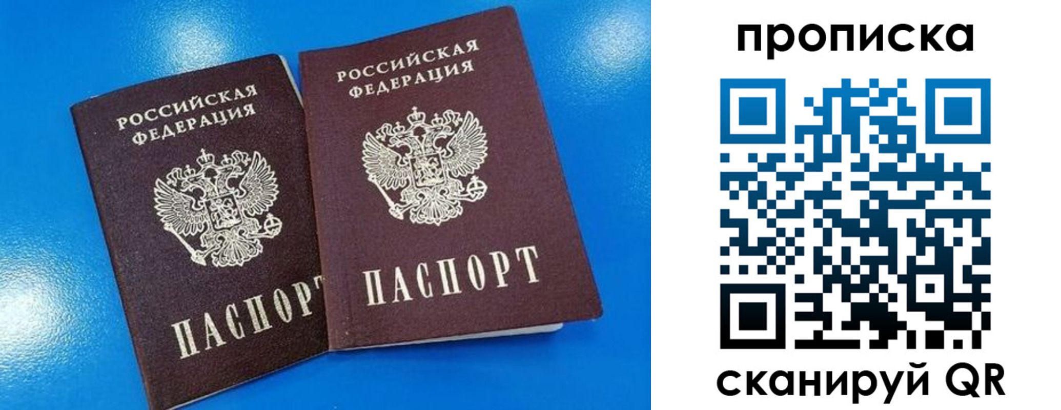 прописка для школы в Барыше